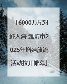 6000万尾对虾入海 潍坊市2025年增殖放流活动拉开帷幕