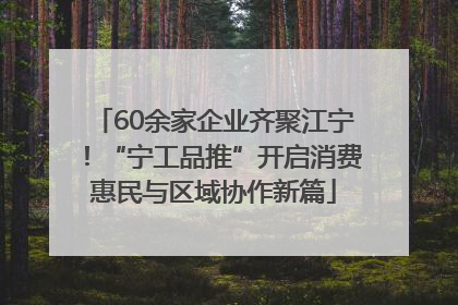 60余家企业齐聚江宁！“宁工品推”开启消费惠民与区域协作新篇