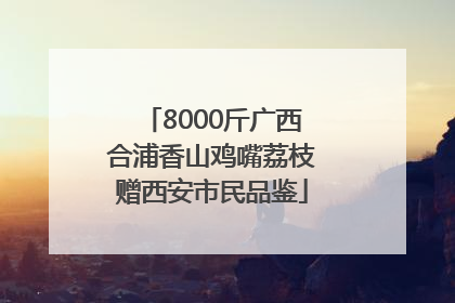 8000斤广西合浦香山鸡嘴荔枝赠西安市民品鉴