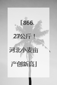866.27公斤！河北小麦亩产创新高