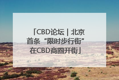 CBD论坛｜北京首条“限时步行街”在CBD商圈开街