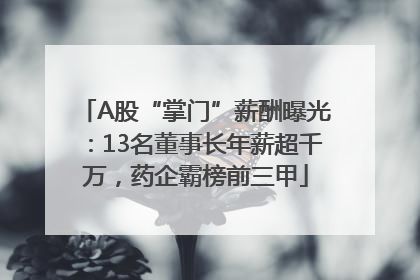 A股“掌门”薪酬曝光：13名董事长年薪超千万，药企霸榜前三甲